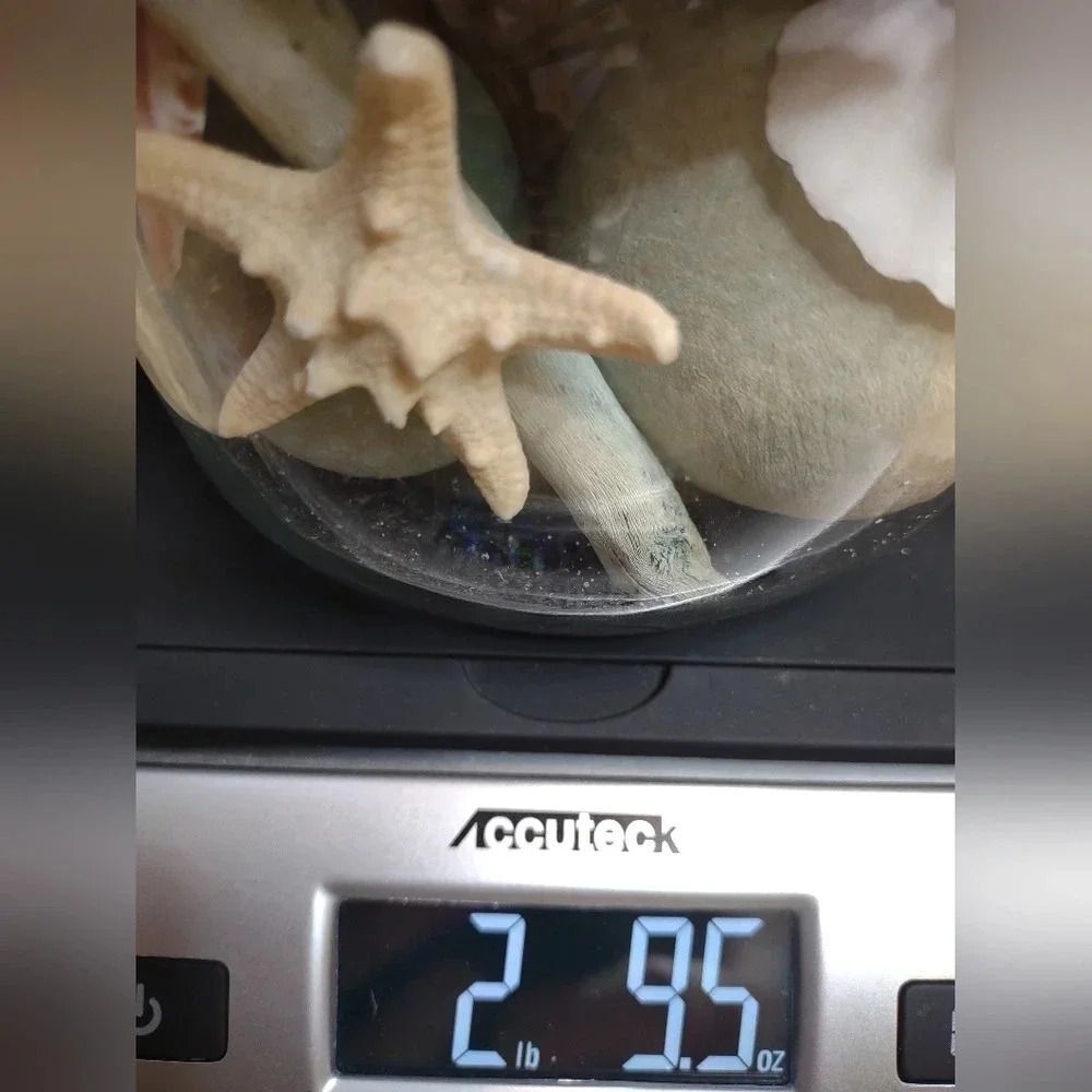 Seashell Jar Artisian Starfish Beachy Tones Coastal Aesthetic - Picture 10 of 12